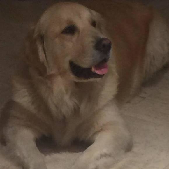 Meet your Posher, Daniela - Picture 1 of 1